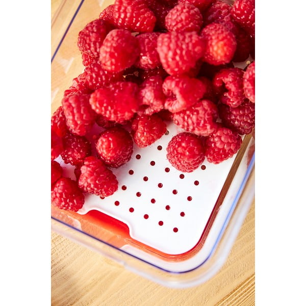 Plastikowy organizer do lodówki Cauma – Rotho-image-3