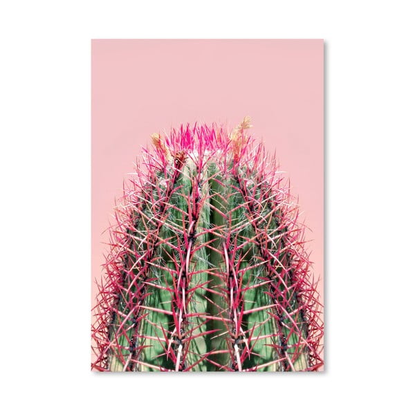 Plakat Americanflat Cactus On Pink, 30x42 cm