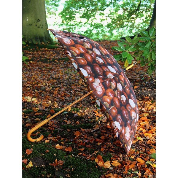 Parasol Chestnust All Over-image-4