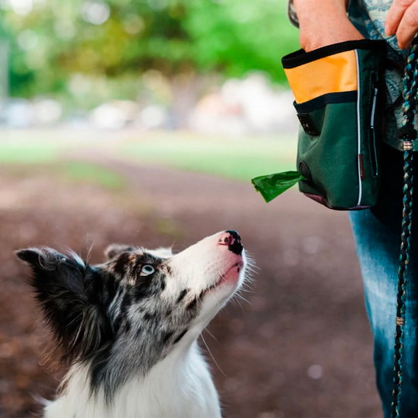 Saszetka na smaczki Deluxe Moss – P.L.A.Y.-image-1