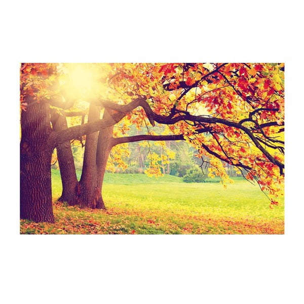 Obraz Jesienna sceneria, 45x70 cm