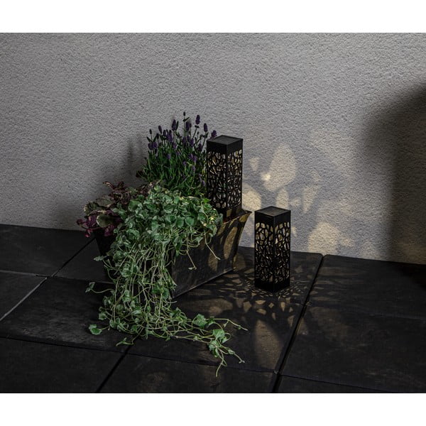 Zestaw 2 ogrodowych lamp solarnych LED Star Trading Izola, wys. 18 cm-image-4