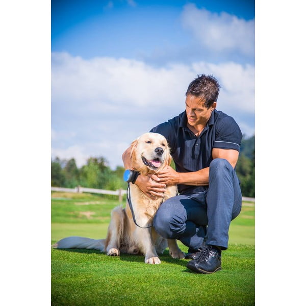 Zielona smycz w rozmiarze S 3 Neon – Lishinu-image-3