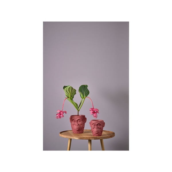 Betonowa doniczka ø 19 cm Calbe – Villa Collection-image-3