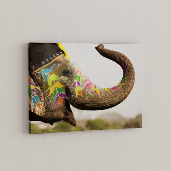 Obraz Szczęśliwy słoń, 50x70 cm