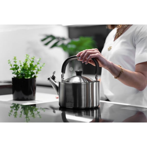 Matowy nierdzewny czajnik z gwizdkiem Vialli Design Diamante, 1,5 l-image-4