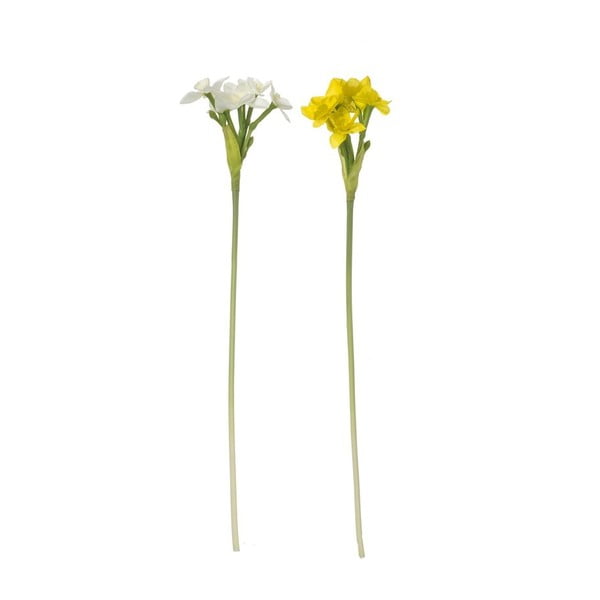 Dekoracyjny kwiat Heaven Sends Narcissi