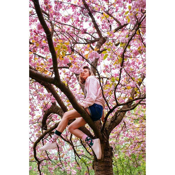 Skarpetki Many Mornings Cherry Blossom, rozm. 35–38-image-1