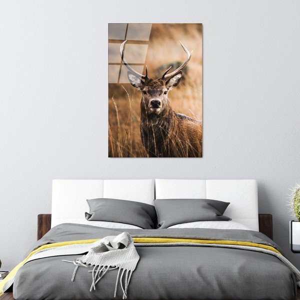 Szklany obraz 70x100 cm Deer – Wallity-image-4