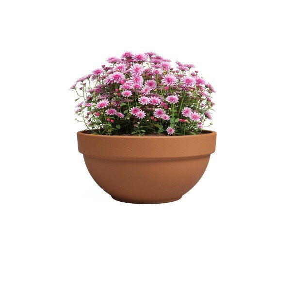 Terakotowa doniczka ø 20 cm Amalia Campana – Artevasi-image-2