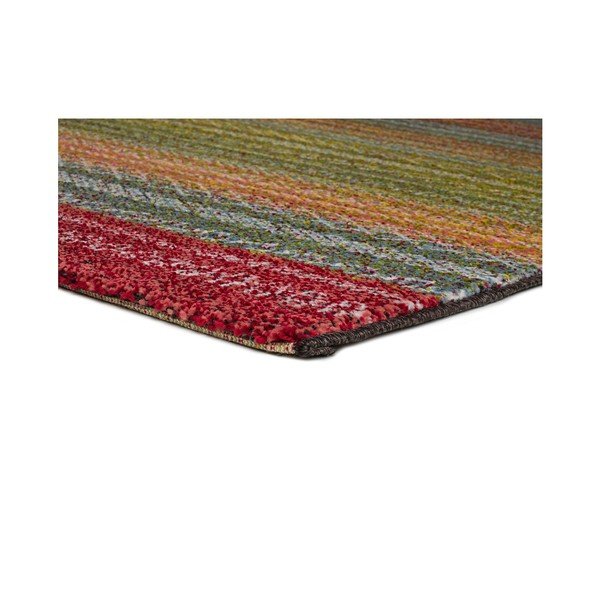 Dywan odpowiedni na zewnątrz Universal Moar Multi Carro, 120x170 cm-image-2