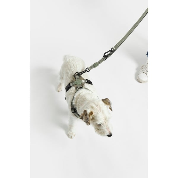 Beżowa smycz przepinana długość 200 cm Modena Greige 20 mm – MiaCara-image-4