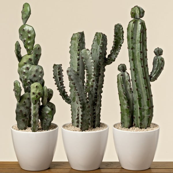 Zestaw 3 kaktusów dekoracyjnych z doniczkami Boltze Tusca