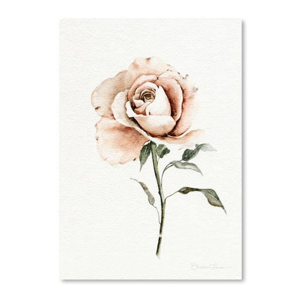 Plakat Americanflat Single Peach Rose by Shealeen Louise, 30x42 cm