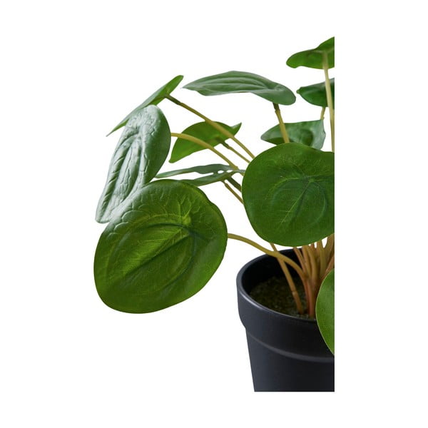 Sztuczna roślina (wysokość 28 cm) Pelia – House Nordic-image-4