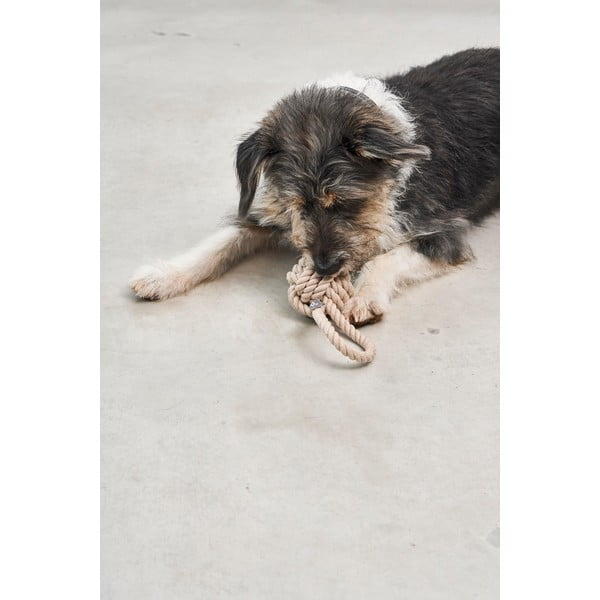 Zabawka dla psa Nodo Greige – MiaCara-image-1