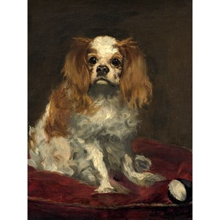 Reprodukcja obrazu Édouarda Maneta A King Charles Spaniel – Fedkolor, 30x40 cm