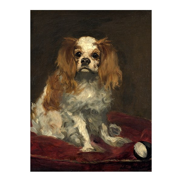 Reprodukcja obrazu Édouarda Maneta A King Charles Spaniel – Fedkolor, 30x40 cm