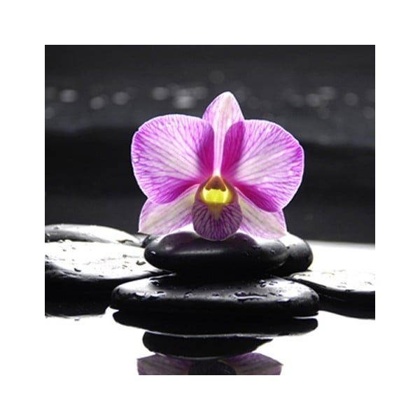 Obraz na szkle Orchidea Zen I, 50x50 cm