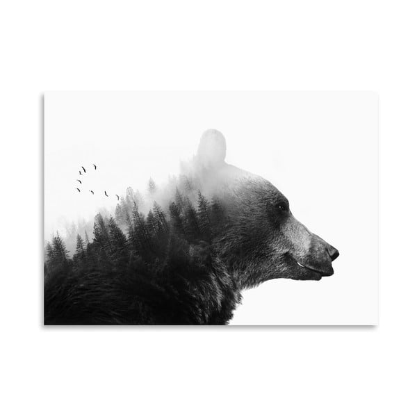 Plakat Americanflat Big Bear, 30x42 cm