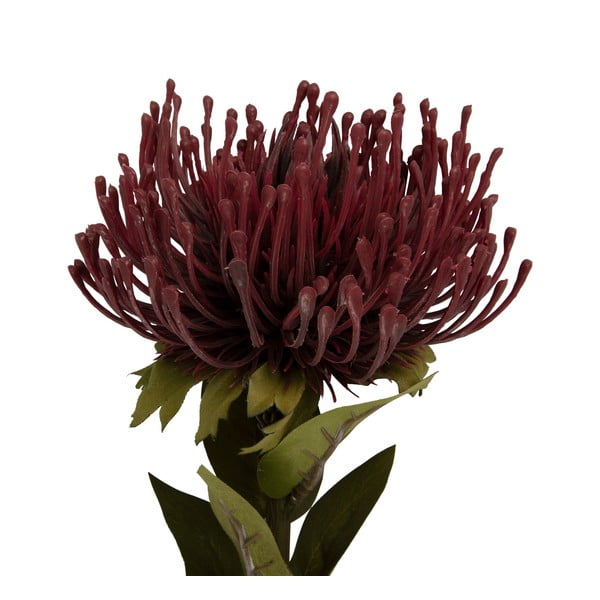 Sztuczny kwiat (wysokość 60 cm) Protea – PT LIVING-image-1