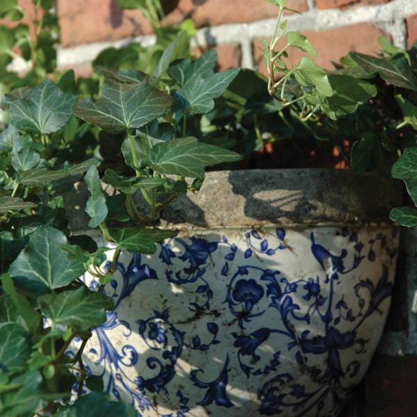 Ceramiczna wisząca i ścienna doniczka – Esschert Design-image-2