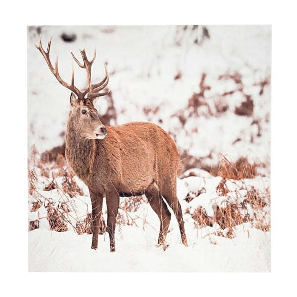 Koc Deer, 150x130 cm