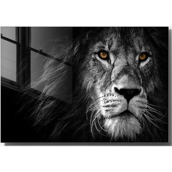 Szklany obraz 70x50 cm Lion – Wallity