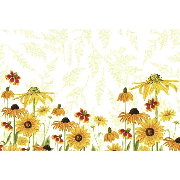 Plastikowa mata stołowa 43x29 cm Danielle – IHR