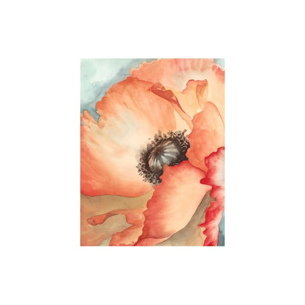 Obraz Watercolor Poppy, 50x65 cm