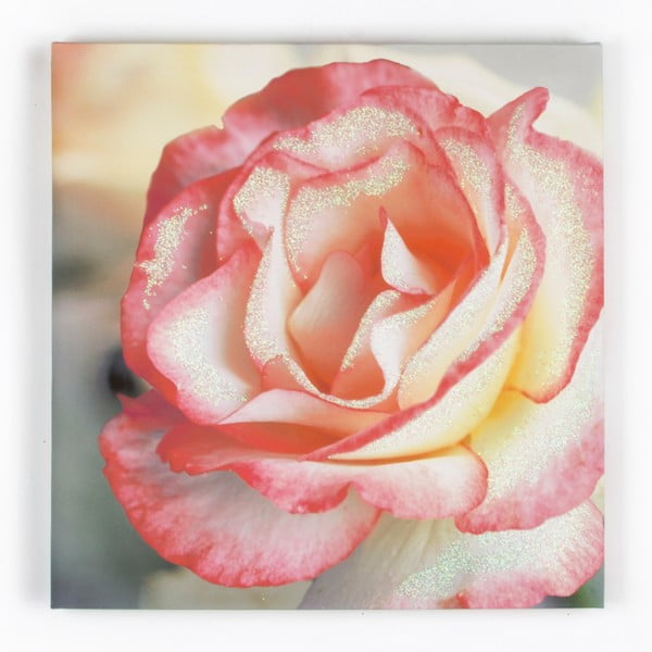 Obraz Graham & Brown Pink Petal, 50x50 cm