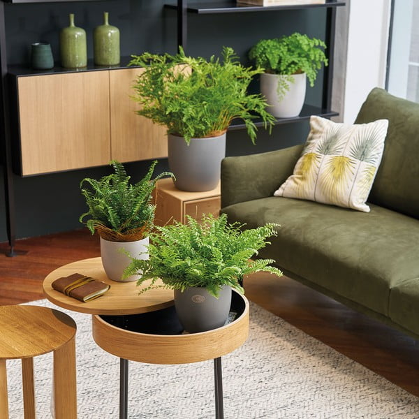 Doniczka ceramiczna ø 24 cm Basel Stone – Big pots-image-1