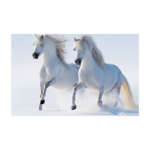 Obraz Biały koń, 45x70 cm