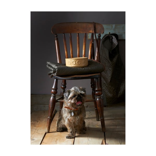 Kamionkowa miska dla psa Mason Cash Pet Cane Dog, ø 25 cm-image-2