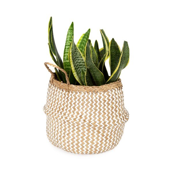 Jasny koszyk z trawy morskiej Compactor Zic Zac, ⌀ 27 cm-image-1