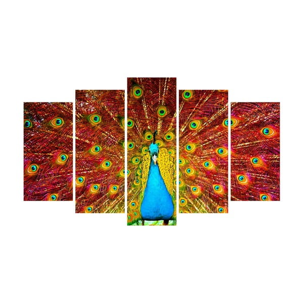Wieloczęściowy obraz na płótnie Peacock