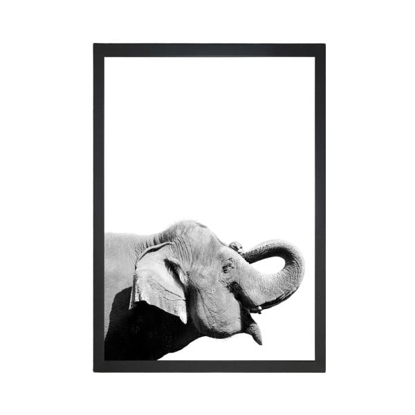 Plakat 24x29 cm Damarion Elephant – Tablo Center