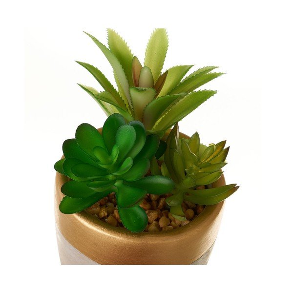 Sztuczne rośliny zestaw 4 szt. (wysokość 17 cm) Cactus – Casa Selección-image-1