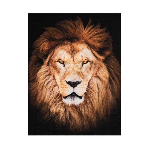 Dywan Hanse Home Lion, 190x140 cm