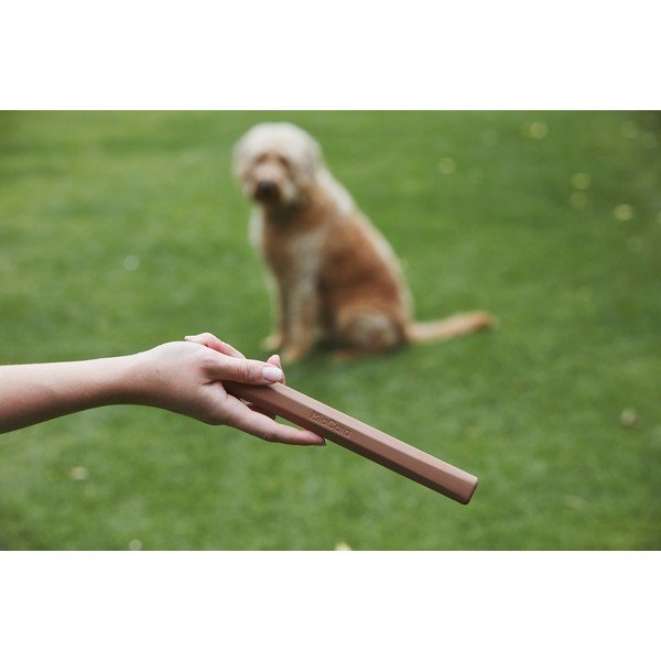 Zabawka dla psa Ramo Sage – MiaCara-image-2