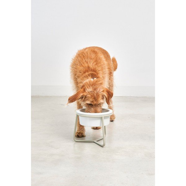 Porcelanowa miska ze stojakiem dla psów ø 20 cm Pranzo Greige M – MiaCara-image-2