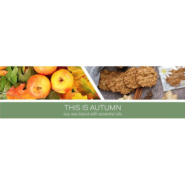 Zapachowa sojowa świeca czas palenia 35 h This Is Autumn – Goose Creek-image-1