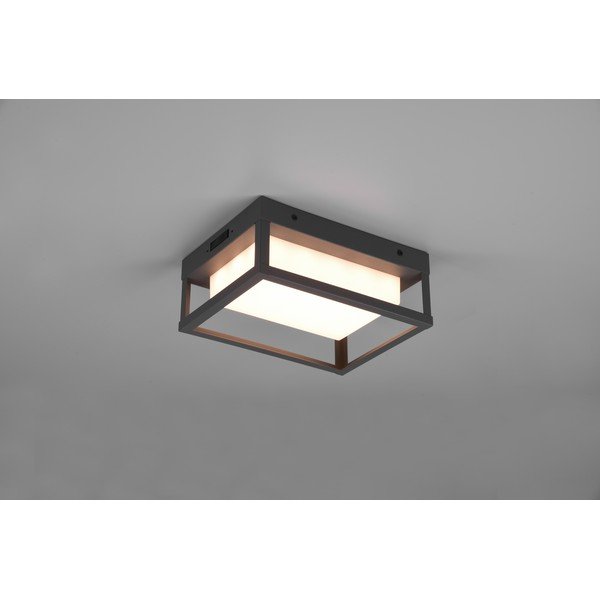 Kinkiet zewnętrzny LED (wys. 24 cm) Witham – Trio-image-2