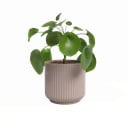 Ceramiczna doniczka ø 15 cm Luna – Artevasi
