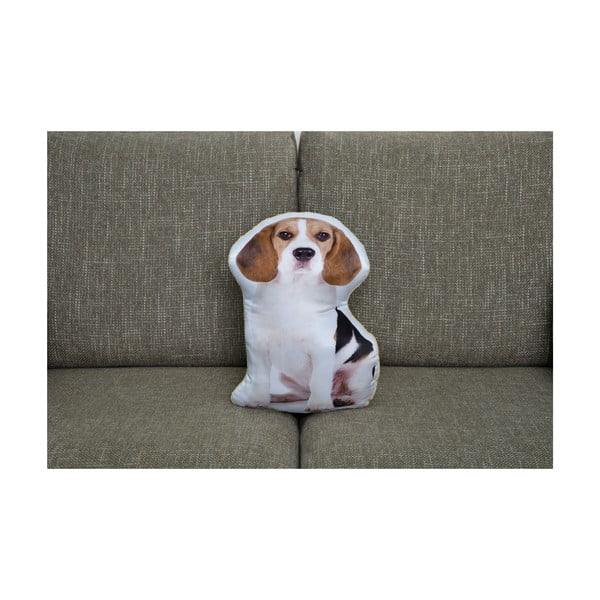 Poduszeczka Adorable Cushions Beagle-image-1