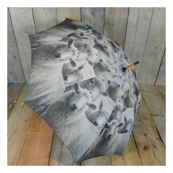 Parasol Sheep-image-1