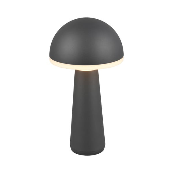 Lampa zewnętrzna ze ściemniaczem ø 16 cm Fungo – Trio