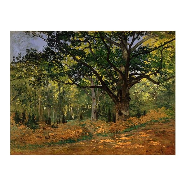Reprodukcja obrazu Claude'a Moneta - The Bodmer Oak, Fontainebleau Forest, 40x30 cm