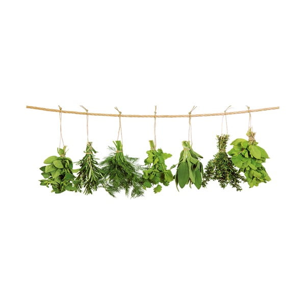 Szklany obraz Hanging Herbs, 30x80 cm