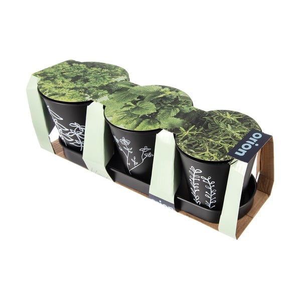 Metalowe doniczki na zioła zestaw 3 szt. ø 11 cm Black – Orion-image-3